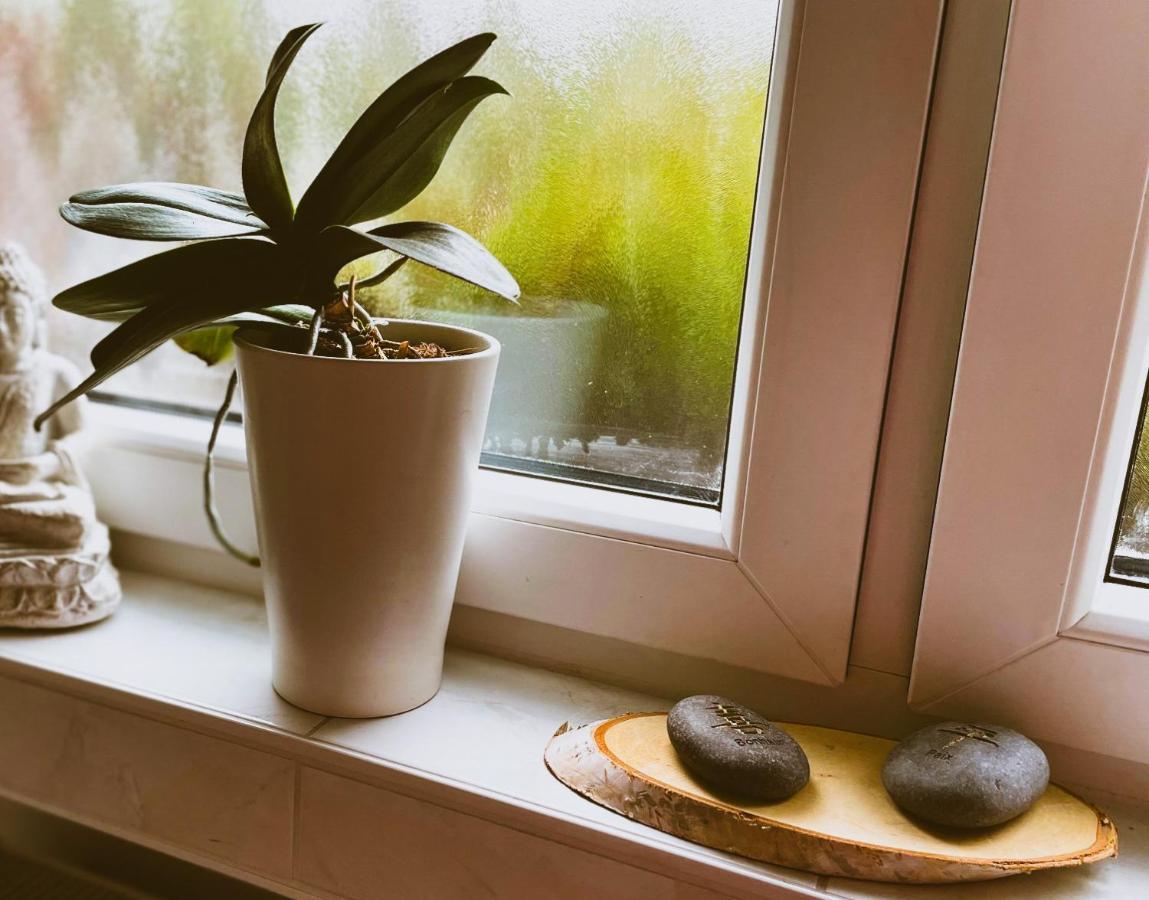 קלן Modernes Appartement Im Gruenen - Stilvoll Und Komfortabel מראה חיצוני תמונה